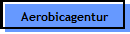 Aerobicagentur