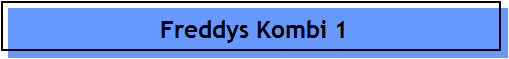 Freddys Kombi 1