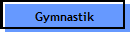 Gymnastik