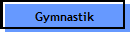 Gymnastik