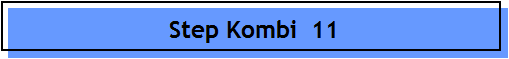 Step Kombi  11