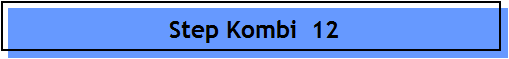 Step Kombi  12