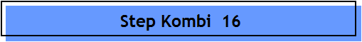 Step Kombi  16