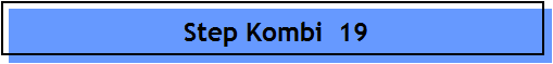 Step Kombi  19